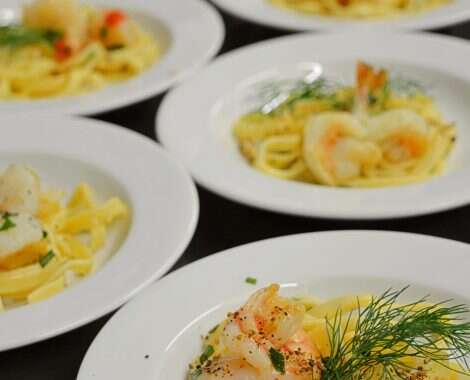 Dsc 0380bb scaled oqdzdnyqxg27x859gh8r795h2zkl8nwhn4pd5wppaw